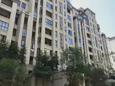 龙湖纯洋房 四房三卫 视野开阔看江 带两个独立大车位