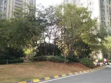 艾溪湖东 保利香槟国际精装三房两卫 可看湖 诚心卖