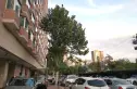香榭舍实景图