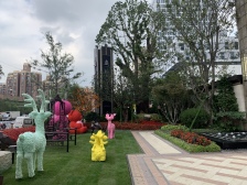 直视三件套 视野开阔,采光充足 低密小区