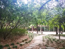 次顶楼 三面临空大三房 看房方便