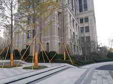 东港品质大宅,非填海,高举架,窗户大,物业好