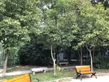 泗泾 · 会波苑 · 2室 · 2厅