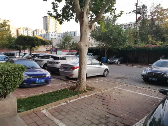 香榭舍实景图