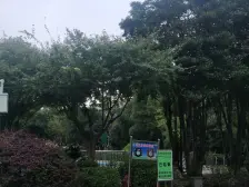 户型方正,电梯房,满五,采光通风好,交通便利