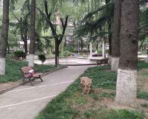 南北通透两居低楼层出入便利满五年唯一