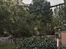 电梯品质小区全明三房阳光充足天然氧吧