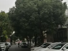 一楼带院,南面无遮挡,采光充足,户型方正,看房随时