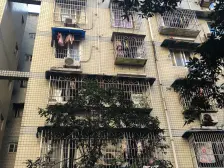 金银湾221号 1室1厅 东南 西南