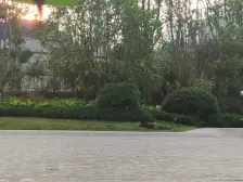 滨江凯旋门别墅4室西南朝向3480.00万元/套出售