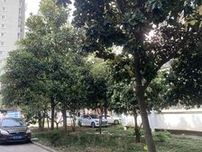 精装,产权清晰,无抵押必看好房