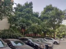 大开间,厨卫朝北,品质小区,繁华地段