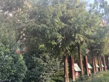 近地铁 中间楼层 刚需上车 产权清晰 急售房源