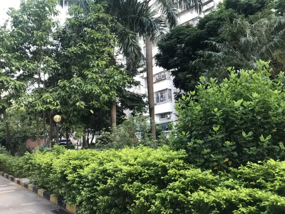 【珠海新城花园小区,二手房,租房】- 珠海房天下