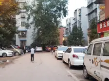 南河丽景D区 2室1厅 南