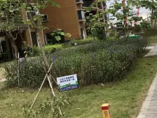 翔宇花园地铁口300米 楼中楼197平有露台 中空大厅