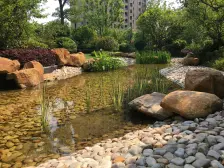 唐镇高品质住宅,高区边套大3房,得房率82%