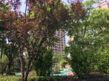 小区景观区域 可看假山 不靠高架 不临街 凤凰楼层