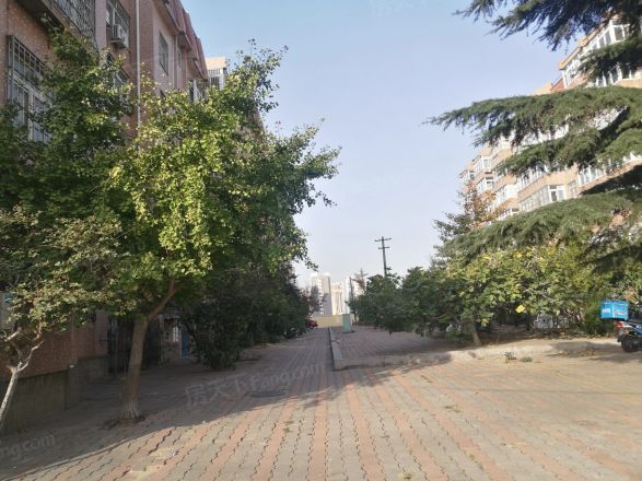 金星花园实景图