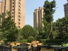 大名城紫金九号3室东朝向755.00万元/套出售