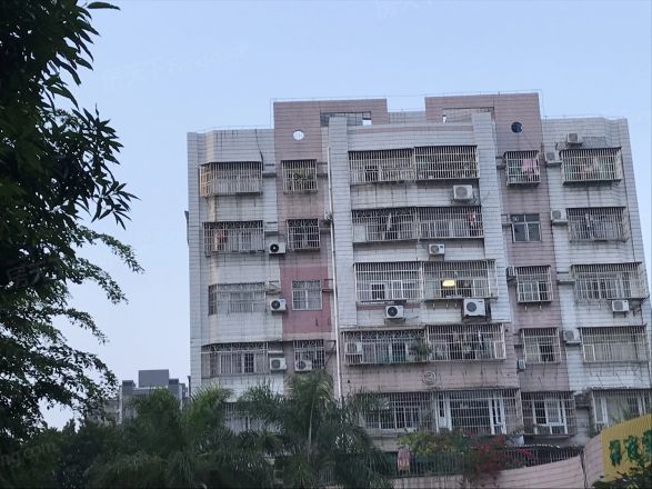 新城花园实景图
