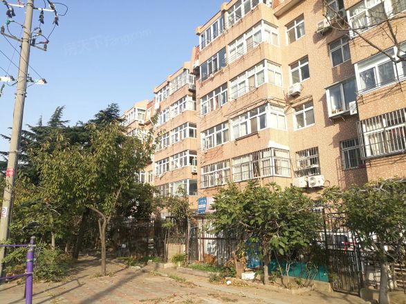 金星花园实景图