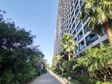 一线海景房精装修一房一厅拎包入住
