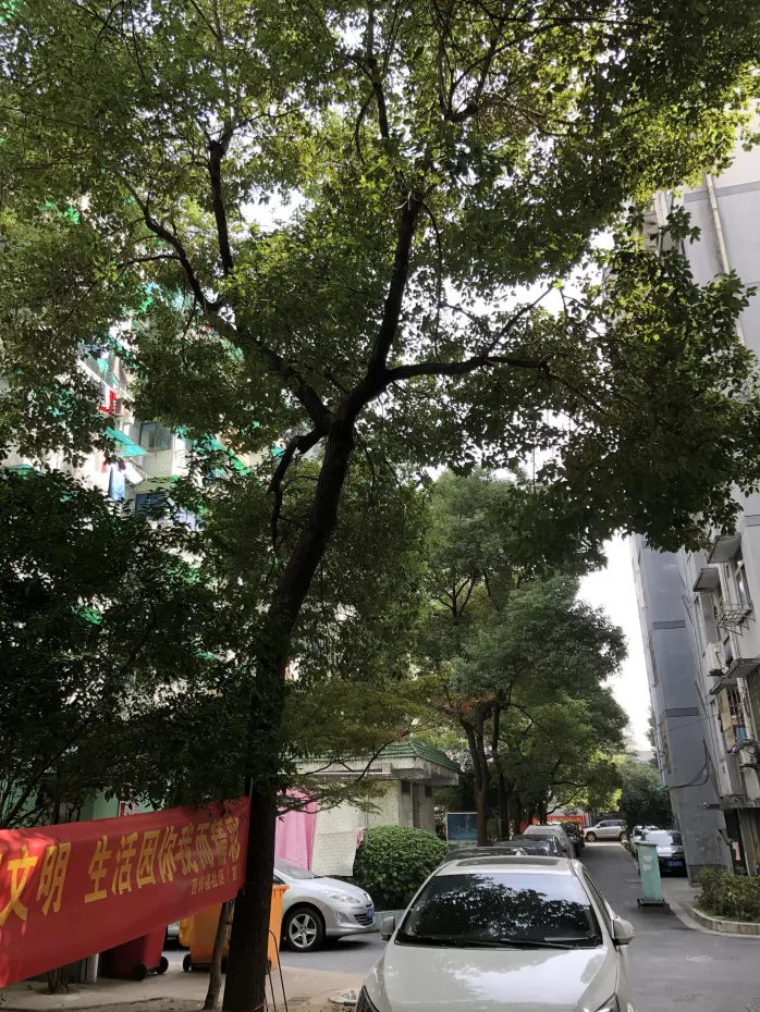 【杭州建国南苑小区,二手房,租房 杭州房天下