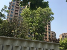 后排高区景观楼层 自住精装修保养如新