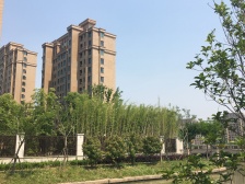 后排高区景观楼层 自住精装修保养如新