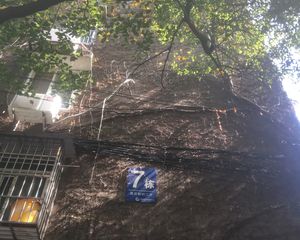 国庆新村产权清晰,小区门外就是公交站,交通便利
