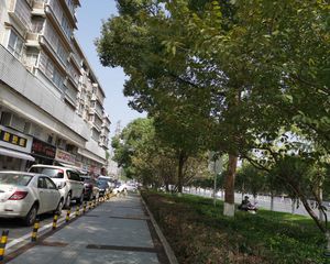 陈家湖江南苑3室1厅南北
