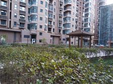 一宫环岛 中环国际 公寓楼 适合办公 看房方便