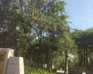 圆梦花园3室1厅东东南南