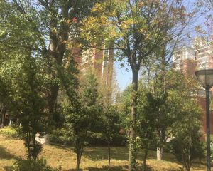 淞雅苑3室1厅南北
