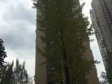 次新小区 免停车费 免物业费出行方便