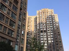 绿地世纪城 1室1厅 南