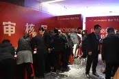 审核区