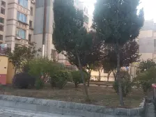 有物业环境好 价格便宜的一室一厅客厅大 安静不靠道