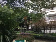 南北通户型三房+满五年税少+看房方便+价格可以谈