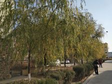 万和城南北格局精装两室采光视野好拎包入住