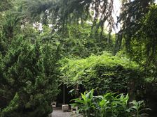 94年外销房+结构质量好+双南户型+采光好+自动入户门