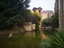 齐通旁,视野好可以看东坡岛和远景楼