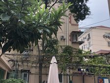 又出租又卖,租掉就不卖了,但是只能一年一签,一南一北