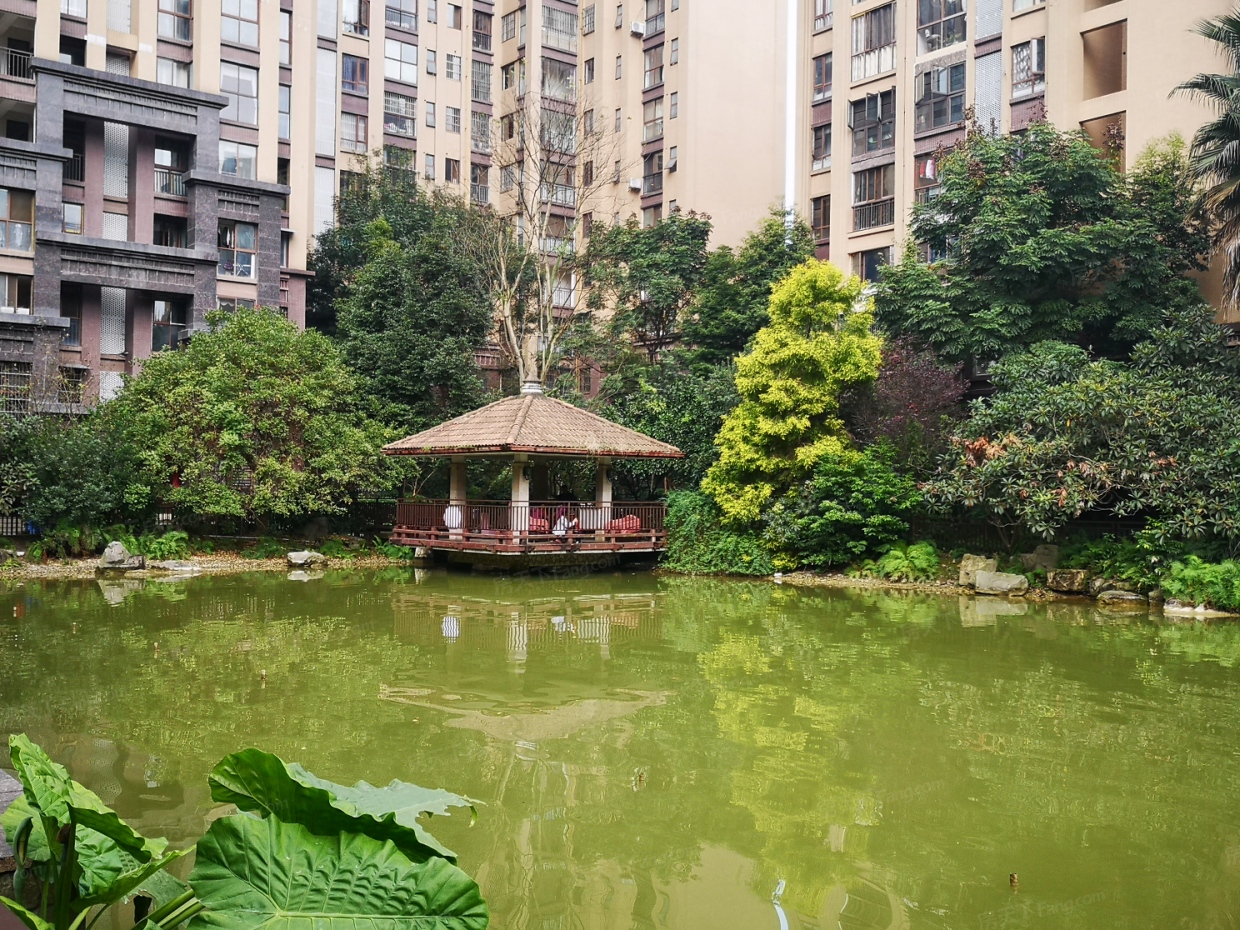 鹭湖小区图片