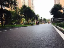 水岸龙庭 4室2厅 南