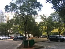 桃苑一区 南北通透,采光好 视野好,诚心出售