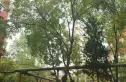 新华街一里实景图