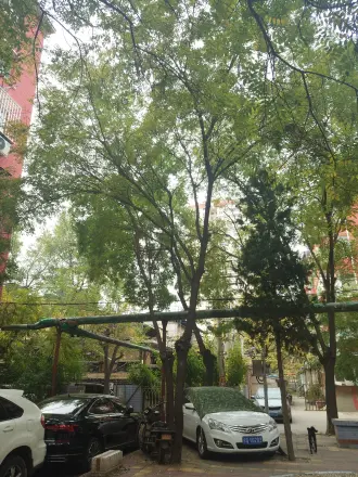 新华街一里实景图