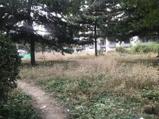 模式口北里 中间层两居 看房有钥匙 业主诚心出售